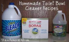 Making natural toilet cleaner is a great project to get the entire family involved. Homemade Toilet Bowl Cleaner Recipes And Home Remedies