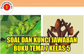 Kunci jawaban tema 7 kelas 5 halaman 127 sanjayaops. Soal Dan Kunci Jawaban Buku Tema 7 Kelas 5 Buku Perdagangan Rempah Berkelas