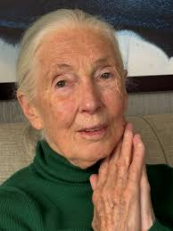 Last week we celebrated Jane Goodall's 90th birthday in San Francisco with  numerous fans, supporters, and dear friends. Dave Matthews, a longtime  friend of Jane's performed for those gathered, singing and wishing