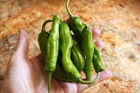 Demystifying Shishito And Padron Peppers Friedas Inc - The Specialty Produce Company