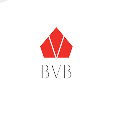 Very high quality and professional logo design for blog, website and corporate company. Grupo Vector Brazil Bvb Home Facebook