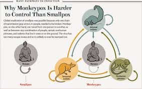 Monkeypox is caused by the monkeypox virus, a member of the same family of viruses as smallpox, although it is much less severe and experts say chances of infection are low. Monkeypox Everything You Need To Know Lagos Executive Cardiovascular Centre