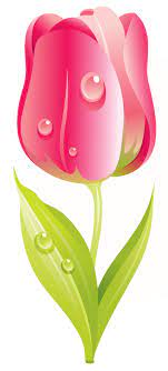Free Flower Clip Art Free Flower Clipart Flower Clipart Flower Art