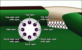 Cues are designed in different shapes and sizes with their own aesthetic design of color, size, and shape. 10 Ultimate 8 Ball Pool Game Tips And Tricks Sociable7