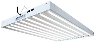 T5 Fixture 4ft 8 Bulb Hydroponics Unlimited