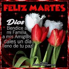 Check spelling or type a new query. Pin On Martes