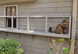Screened Cat Porches Are A Great Way To Keep Your Kitty Safe Home Design Garden Architecture Blog Magazine In 2020 Outdoor Cat Enclosure Cat Patio Cat Enclosure