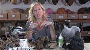 Fiber Artist Supply Company Coupon Code 07 2021