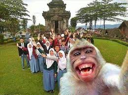 Daan yahya panglima divisi siliwangi ke ii. Polaznik Zakoni I Propisi Ne SviÄ'a Mi Se Foto Album Sma Artereview It