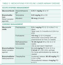 Treatment Of Feline Lower Airway Disease Todays