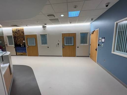 Safe Mental Health Rooms Opening