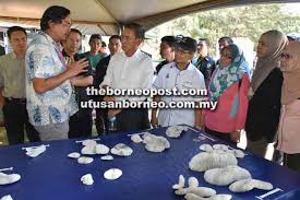 The electrician, having completed level two competencies, installs, troubleshoots, and repairs electrical systems, apparatuses, and electrical control … Tubuh Cawangan Institut Penyelidikan Marin Borneo Utusan Borneo Online