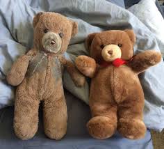 Regalar un oso de peluche gigante es una de las mejores opciones, ya que estos son muy duraderos y son perfectos acompañantes. La Dura Vida De Los Ositos De Peluche No Puedo Creer