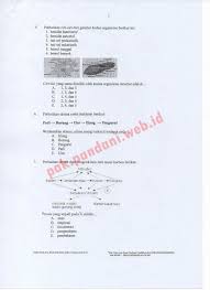 Download Soal Usbn Biologi Sma Tahun Pelajaran 2016 2017 Blog Pak Pandani