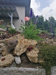 Pin Von Luis Guggenbichler Auf Kreativer Garten In 2020 Kreativ Garten