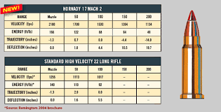 24 actual ruger 10 22 ballistics chart