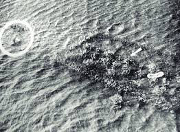 Nieuws | amsterdam l opinie l nieuwsdienst@parool.nl l @pshetparool l webcare ps het parool. Rubber Boot In Boomgaard Gepubliceerd In Het Parool 3 Februari 1953 Download Scientific Diagram