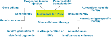 Explore symptoms, inheritance, genetics of this condition. Current Progress In Stem Cell Therapy For Type 1 Diabetes Mellitus Stem Cell Research Therapy Full Text