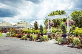 Naturehills.com has been visited by 10k+ users in the past month K W Greenery Janesville Area Convention Visitors Bureau
