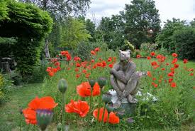 Die bewohner ihrer wohnanlage werden von ihrem garten im neuen glanz begeistert sein und die gefahr durch liegen gebliebenes laub auf gehwegen wird von uns minimiert. Mit Rosen Ruben Auf Besichtigungstour