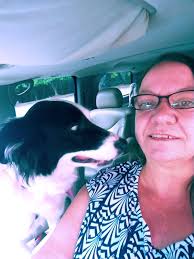 Lost Cat in Grantham Park, Acworth/Woodstock, GA