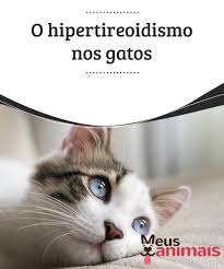 Pin Em Saude Animal