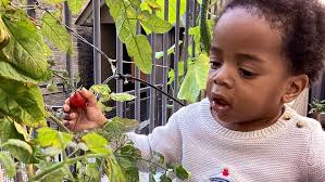 Mothercraft 2024 Annual Report