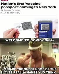 The newly announced covid passports take a different approach: Gainz Memes Best Collection Of Funny Gainz Pictures On Ifunny