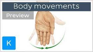 Learn about body movements with free interactive flashcards. Types Of Body Movements Preview Human Anatomy Kenhub Youtube