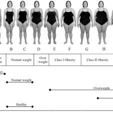 Adults with a bmi over 25 are considered obese. Pdf Bmi Based Body Size Guides For Women And Men Development And Validation Of A Novel Pictorial Method To Assess Weight Related Concepts