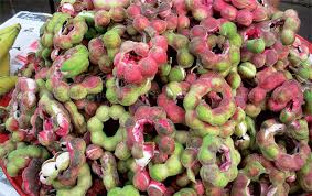 Ball type tamarind tree fruit is less common to any other kind. A Seasonal Treat