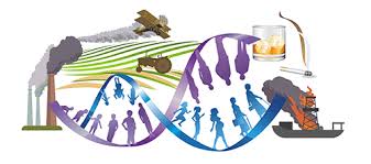 Chronic Disease Epidemiology Group Environmental Exposures And Chronic Disease Risk