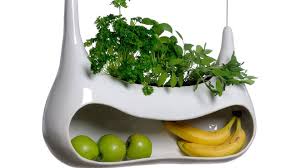 Beaucoup d'herbes, en particulier celles qui sont habituées au climat méditerranéen, doivent avoir les plantes de menthe poussent généralement en arbuste et leurs tiges odorantes en font des plantes d'intérieur attrayantes. Comment Cultiver Des Plantes Aromatiques Dans Son Interieur