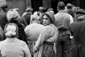 arte : 통합 검색