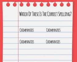 Cow in latin is spelled as bos primgenius. English Archives Page 2 Of 8 Quiz Cow
