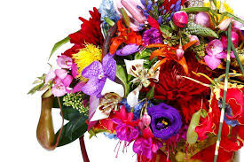 Eye Candy From Jardins Des Fleurs Aoyama Tokyo Flower Art Japanese Flowers Flower Arrangements