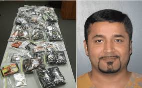 1700 bags of synthetic pot found in Forsyth County