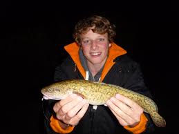 Rutte (fisch), einen knochenfisch (quappe) rutte (tarvisio), ortschaft auf dem gemeindegebiet von tarvisio, italien rutte (waffe), eine mittelalterliche schießmaschine rutte ist. Chiemsee Felix Proller Aus Seeon