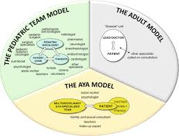 Your salary depends on your specialization and your level of practice. Access And Models Of Care Springerlink