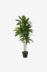 Check spelling or type a new query. 33 Best Artificial Plants 2021 The Strategist