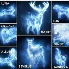 Ginny And Me Are Sisters At Heart Harry Potter Patronus Harry Potter Spells Harry Potter Puns