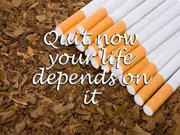 A cigarette or a pipe for puffing tobacco has fired at one end and has a fool. World No Tobacco Day