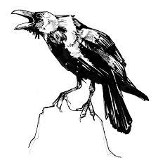 Pin On The Birds