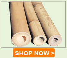 We did not find results for: Bamboo Poles Bamboo Sticks Bamboo Poles Construction