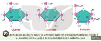 Nền tảng cung cấp tài liệu chất lượng cao hàng đầu Việt Nam! - Các phân tử  sinh học trong Sinh học lớp 10: Cấu trúc và chức năng thiết yếu