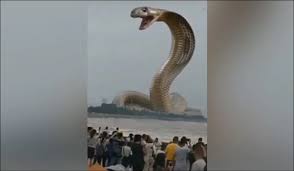 The people have massed in the center of town we drink from a glass and the world turns around. Giant Cobra Snake Rising Out Of River Water Video Fact Check