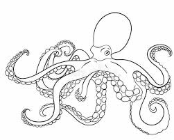Octopus coloring page 11 coloring page. Pin On Animal Coloring Pages