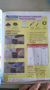 Dapat dikombinasikan dengan bubur ketan hitam untuk mendapatkan variasi rasa. Cikgu Syahairi Memerhatikan Tumbesaran Pokok Kacang Facebook