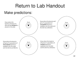 Antibiotics Ppt Download