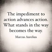 Dana Santas This Awesomely True Quote Is Attributed To Roman Emperor Marcus Aurelius And Inspired The Title Of One Of My Favorite Books The Obstacle Is The Way By Ryan Holiday